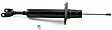 Bare Strut - Front, Driver or Passenger Side