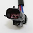 Rear, Driver Side Power Window Regulator, With Motor