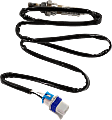After Catalytic Converter Oxygen Sensor, Sold Individually, 4-wire