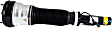 AS-2193 Front, Driver or Passenger Side Air Strut