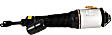 AS-2581 Front, Driver Side Air Strut