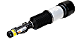 AS-2605 Front, Driver or Passenger Side Air Strut