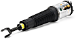 AS-2775 Air Strut, New, Sold Individually