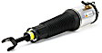 AS-2778 Air Strut, New, Sold Individually