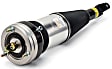 AS-2855 Front, Driver or Passenger Side Air Strut