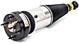 AS-2889 Rear, Driver or Passenger Side Air Strut
