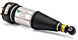 AS-2889 Rear, Driver or Passenger Side Air Strut