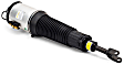 AS-2892 Air Strut, New, Sold Individually
