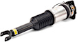 AS-2958 Rear, Passenger Side Air Strut