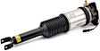 AS-2959 Rear, Driver Side Air Strut
