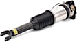AS-2965 Rear, Passenger Side Air Strut