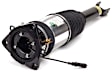 AS-2968 Rear, Passenger Side Air Strut