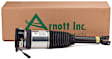 AS-2968 Rear, Passenger Side Air Strut