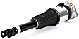 AS-3030 Rear, Passenger Side Air Strut