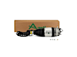 AS-3057 Front, Driver Side Air Strut