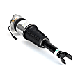AS-3129 Rear, Passenger Side Air Strut