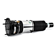 AS-3309 Front, Driver or Passenger Side Air Strut