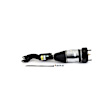 AS-3337 Front, Passenger Side Air Strut