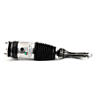 AS-3751 Front, Driver or Passenger Side Air Strut