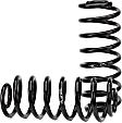 C-2667 Coil Spring Conversion Kit - Direct Fit, Kit