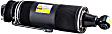 SK-2420 Rear, Driver Side Bare Strut