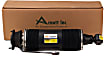 SK-2484 Rear, Passenger Side Bare Strut