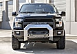 2155101 AdvantEDGE Series Bull Bar, Powdercoated Chrome