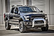 2155101 AdvantEDGE Series Bull Bar, Powdercoated Chrome