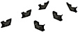 3025151 Running Board Mounting Kit - Powdercoated Black, Steel, Direct Fit, Kit