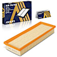 ARFAZ-00304 OE Replacement Air Filter
