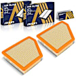 ARFGM-01114 OE Replacement Air Filter