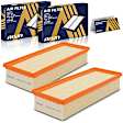 ARFVG-01407 OE Replacement Air Filter