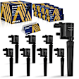 ESCAZ-00329 Ignition Coil, Set of 8