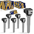 ESCFD-00289 Ignition Coil, Set of 6