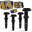 ESCFD-00295 Ignition Coil, Set of 4