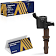 ESCFD-00298 Ignition Coil, Sold Individually