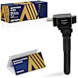 ESCFD-00302 Ignition Coil, Sold Individually, 3.5L, 6Cyl