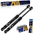 GASAZ-00778 Driver and Passenger Side Trunk Lift Support, Sedan, Set of 2