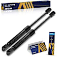 GASCH-00477 Driver and Passenger Side Tailgate Lift Support, Sedan, Set of 2