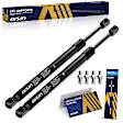 GASFD-01185 Driver and Passenger Side Tailgate Lift Support, Sport Utility, Set of 2