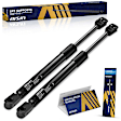 GASFD-01189 Driver and Passenger Side Hood Lift Support, 4.6L, 8Cyl, Set of 2