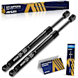 GASGM-00376 Driver and Passenger Side Tailgate Lift Support, Sport Utility, Set of 2