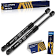 GASGM-01549 Driver and Passenger Side Hood Lift Support, Sedan, Set of 2