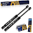 GASH-00796 Driver and Passenger Side Hatch Lift Support, Hatchback, Set of 2