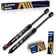 GASMB-01248 Driver and Passenger Side Hood Lift Support, Set of 2