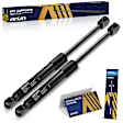 GASVG-00081 Driver and Passenger Side Trunk Lift Support, Cabriolet Convertible, Set of 2