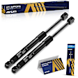 GASVG-01929 Driver and Passenger Side Trunk Lift Support, Sedan, Set of 2