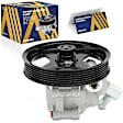 PSPFD-00160 Power Steering Pump 4.6L, 8Cyl With Pulley, Without Reservoir
