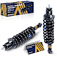 SAKCH-01123 Rear, Driver and Passenger Side Shock Absorber, 4WD, Sport Utility