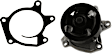 WPN-117 Water Pump